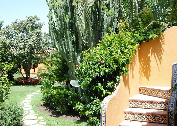 Mejores Hoteles Pet-Friendly en Estepona